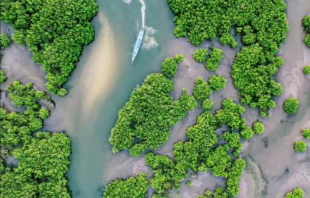 Excursión a las islas del Sine Saloum